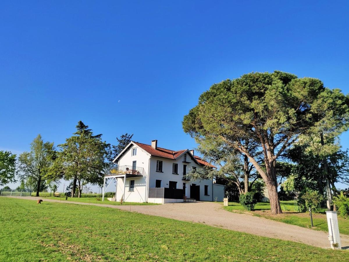 Le Cottage Duo Vigne Rouge Sauna Gaillac Entre Albi-Toulouse & Les Cottages Du Tarn Brens  Eksteriør bilde